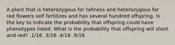 A plant that is heterozygous for tallness and heterozygous for red flowers self fertilizes and has several hundred offspring. Is the key to indicate the probability that offspring could have phenotypes listed. What is the probability that offspring will short and red? .1/16 .3/16 .4/16 .9/16