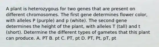 A plant is heterozygous for two genes that are present on different chromosomes. The first gene determines flower color, with alleles P (purple) and p (white). The second gene determines the height of the plant, with alleles T (tall) and t (short). Determine the different types of gametes that this plant can produce. A. PT B. pt C. PT, pt D. PT, Pt, pT, pt