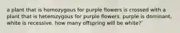 a plant that is homozygous for purple flowers is crossed with a plant that is heterozygous for purple flowers. purple is dominant, white is recessive. how many offspring will be white?`