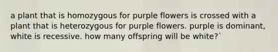 a plant that is homozygous for purple flowers is crossed with a plant that is heterozygous for purple flowers. purple is dominant, white is recessive. how many offspring will be white?`