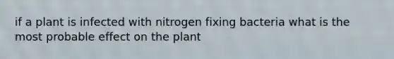 if a plant is infected with nitrogen fixing bacteria what is the most probable effect on the plant