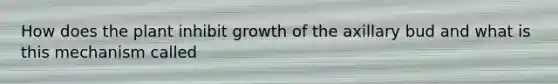 How does the plant inhibit growth of the axillary bud and what is this mechanism called