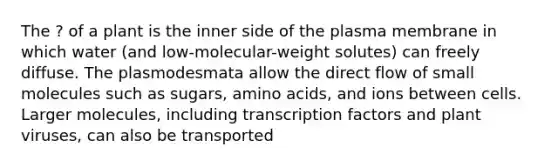 The ? of a plant is the inner side of the plasma membrane in which water (and low-molecular-weight solutes) can freely diffuse. The plasmodesmata allow the direct flow of small molecules such as sugars, amino acids, and ions between cells. Larger molecules, including transcription factors and plant viruses, can also be transported