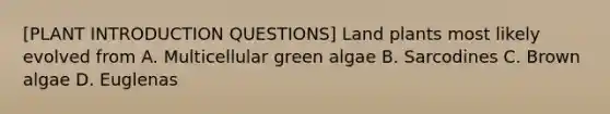 [PLANT INTRODUCTION QUESTIONS] Land plants most likely evolved from A. Multicellular green algae B. Sarcodines C. Brown algae D. Euglenas