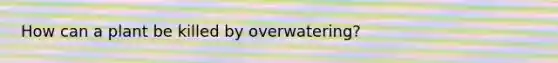 How can a plant be killed by overwatering?