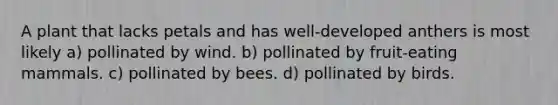 A plant that lacks petals and has well-developed anthers is most likely a) pollinated by wind. b) pollinated by fruit-eating mammals. c) pollinated by bees. d) pollinated by birds.