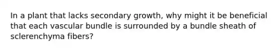 In a plant that lacks secondary growth, why might it be beneficial that each vascular bundle is surrounded by a bundle sheath of sclerenchyma fibers?