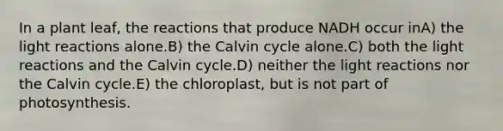 In a plant leaf, the reactions that produce NADH occur inA) the light reactions alone.B) the Calvin cycle alone.C) both the light reactions and the Calvin cycle.D) neither the light reactions nor the Calvin cycle.E) the chloroplast, but is not part of photosynthesis.