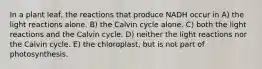 In a plant leaf, the reactions that produce NADH occur in A) the light reactions alone. B) the Calvin cycle alone. C) both the light reactions and the Calvin cycle. D) neither the light reactions nor the Calvin cycle. E) the chloroplast, but is not part of photosynthesis.