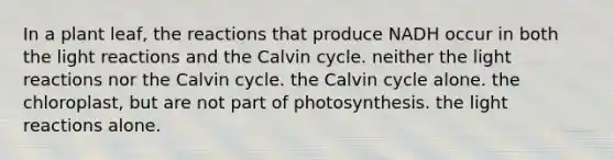 In a plant leaf, the reactions that produce NADH occur in both the light reactions and the Calvin cycle. neither the light reactions nor the Calvin cycle. the Calvin cycle alone. the chloroplast, but are not part of photosynthesis. the light reactions alone.