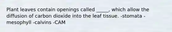 Plant leaves contain openings called _____, which allow the diffusion of carbon dioxide into the leaf tissue. -stomata -mesophyll -calvins -CAM