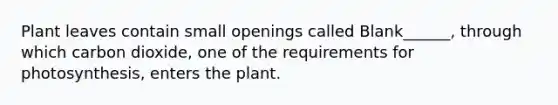 Plant leaves contain small openings called Blank______, through which carbon dioxide, one of the requirements for photosynthesis, enters the plant.