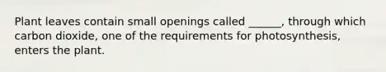 Plant leaves contain small openings called ______, through which carbon dioxide, one of the requirements for photosynthesis, enters the plant.