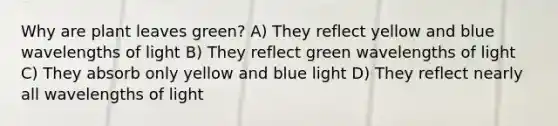 Why are plant leaves green? A) They reflect yellow and blue wavelengths of light B) They reflect green wavelengths of light C) They absorb only yellow and blue light D) They reflect nearly all wavelengths of light