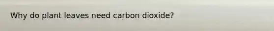 Why do plant leaves need carbon dioxide?