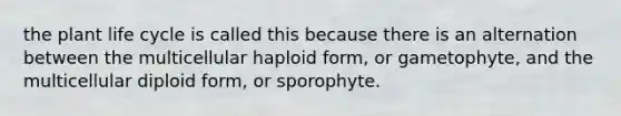 the plant life cycle is called this because there is an alternation between the multicellular haploid form, or gametophyte, and the multicellular diploid form, or sporophyte.