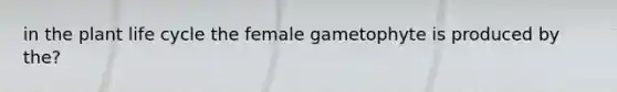 in the plant life cycle the female gametophyte is produced by the?