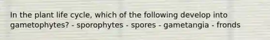 In the plant life cycle, which of the following develop into gametophytes? - sporophytes - spores - gametangia - fronds