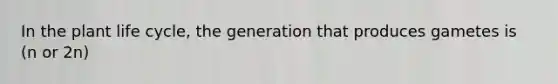 In the plant life cycle, the generation that produces gametes is (n or 2n)