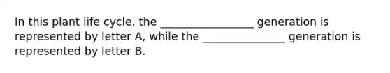 In this plant life cycle, the _________________ generation is represented by letter A, while the _______________ generation is represented by letter B.