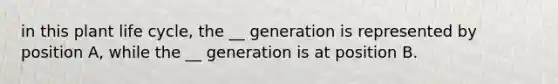 in this plant life cycle, the __ generation is represented by position A, while the __ generation is at position B.