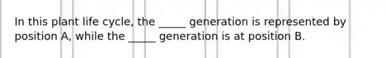 In this plant life cycle, the _____ generation is represented by position A, while the _____ generation is at position B.