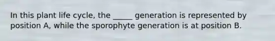 In this plant life cycle, the _____ generation is represented by position A, while the sporophyte generation is at position B.