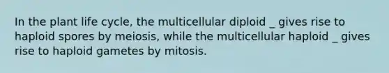 In the plant life cycle, the multicellular diploid _ gives rise to haploid spores by meiosis, while the multicellular haploid _ gives rise to haploid gametes by mitosis.