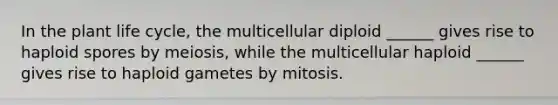 In the plant life cycle, the multicellular diploid ______ gives rise to haploid spores by meiosis, while the multicellular haploid ______ gives rise to haploid gametes by mitosis.