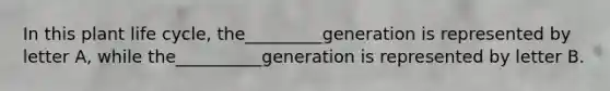 In this plant life cycle, the_________generation is represented by letter A, while the__________generation is represented by letter B.