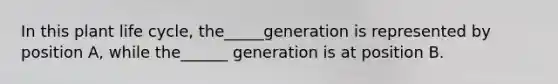 In this plant life cycle, the_____generation is represented by position A, while the______ generation is at position B.