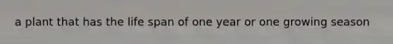 a plant that has the life span of one year or one growing season