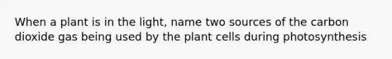 When a plant is in the light, name two sources of the carbon dioxide gas being used by the plant cells during photosynthesis