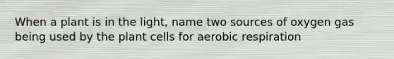 When a plant is in the light, name two sources of oxygen gas being used by the plant cells for aerobic respiration