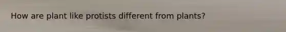 How are plant like protists different from plants?