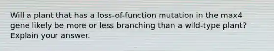 Will a plant that has a loss-of-function mutation in the max4 gene likely be more or less branching than a wild-type plant? Explain your answer.