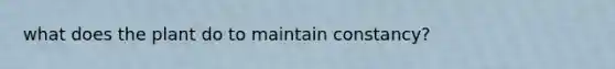 what does the plant do to maintain constancy?