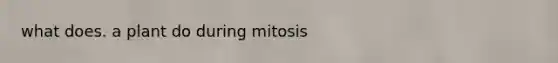 what does. a plant do during mitosis