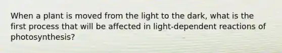 When a plant is moved from the light to the dark, what is the first process that will be affected in light-dependent reactions of photosynthesis?