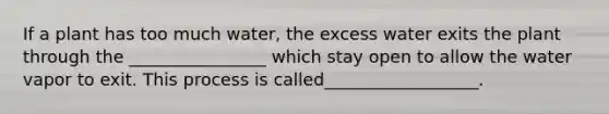 If a plant has too much water, the excess water exits the plant through the ________________ which stay open to allow the water vapor to exit. This process is called__________________.