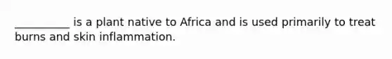 __________ is a plant native to Africa and is used primarily to treat burns and skin inflammation.