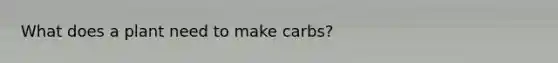 What does a plant need to make carbs?