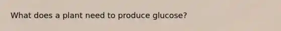 What does a plant need to produce glucose?