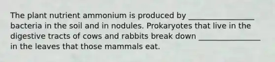 The plant nutrient ammonium is produced by _________________ bacteria in the soil and in nodules. Prokaryotes that live in the digestive tracts of cows and rabbits break down ________________ in the leaves that those mammals eat.