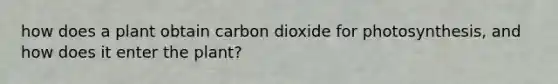 how does a plant obtain carbon dioxide for photosynthesis, and how does it enter the plant?