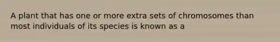 A plant that has one or more extra sets of chromosomes than most individuals of its species is known as a