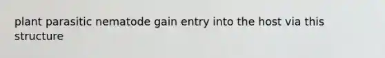 plant parasitic nematode gain entry into the host via this structure