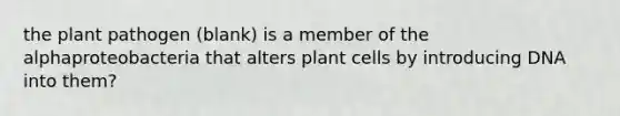 the plant pathogen (blank) is a member of the alphaproteobacteria that alters plant cells by introducing DNA into them?