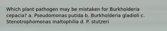 Which plant pathogen may be mistaken for Burkholderia cepacia? a. Pseudomonas putida b. Burkholderia gladioli c. Stenotrophomonas maltophilia d. P. stutzeri