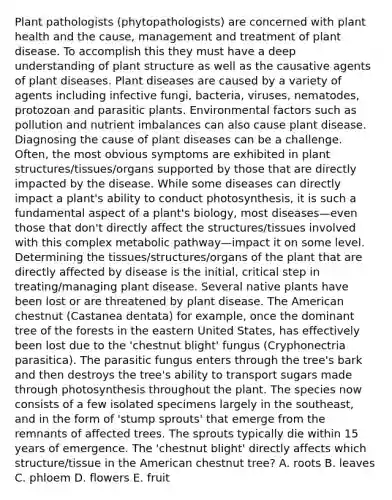 Plant pathologists (phytopathologists) are concerned with plant health and the cause, management and treatment of plant disease. To accomplish this they must have a deep understanding of plant structure as well as the causative agents of plant diseases. Plant diseases are caused by a variety of agents including infective fungi, bacteria, viruses, nematodes, protozoan and parasitic plants. Environmental factors such as pollution and nutrient imbalances can also cause plant disease. Diagnosing the cause of plant diseases can be a challenge. Often, the most obvious symptoms are exhibited in plant structures/tissues/organs supported by those that are directly impacted by the disease. While some diseases can directly impact a plant's ability to conduct photosynthesis, it is such a fundamental aspect of a plant's biology, most diseases—even those that don't directly affect the structures/tissues involved with this complex metabolic pathway—impact it on some level. Determining the tissues/structures/organs of the plant that are directly affected by disease is the initial, critical step in treating/managing plant disease. Several native plants have been lost or are threatened by plant disease. The American chestnut (Castanea dentata) for example, once the dominant tree of the forests in the eastern United States, has effectively been lost due to the 'chestnut blight' fungus (Cryphonectria parasitica). The parasitic fungus enters through the tree's bark and then destroys the tree's ability to transport sugars made through photosynthesis throughout the plant. The species now consists of a few isolated specimens largely in the southeast, and in the form of 'stump sprouts' that emerge from the remnants of affected trees. The sprouts typically die within 15 years of emergence. The 'chestnut blight' directly affects which structure/tissue in the American chestnut tree? A. roots B. leaves C. phloem D. flowers E. fruit